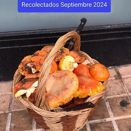 El Descanso De Hadas