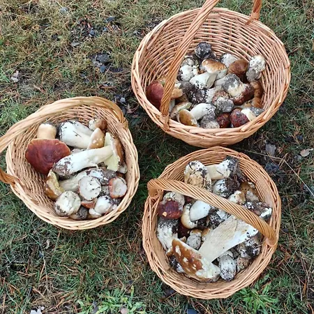 Apartmán El Descanso De Hadas San Leonardo de Yagüe