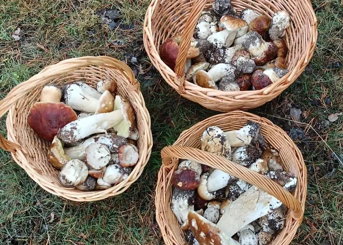 아파트 El Descanso De Hadas San Leonardo de Yagüe